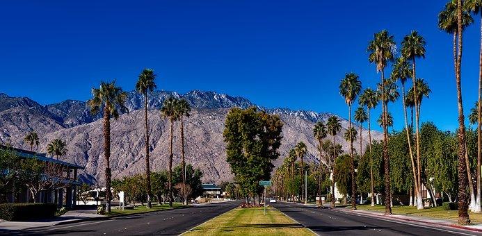 22 Best Palm Springs Restaurants You Can’t Miss