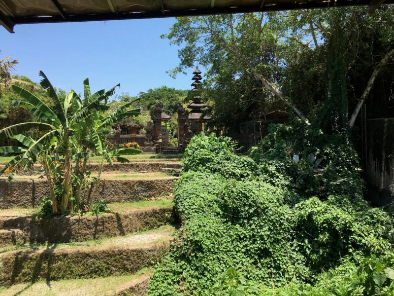 Temple among old rice paddies in Bali, Indonesia