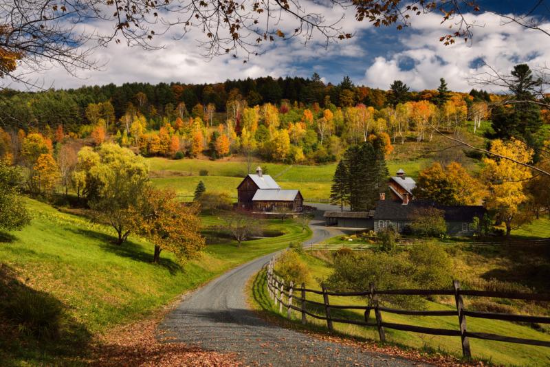 Fall tree colors at Sleepy Hollow Farm Homestead on Woodstock, Vermont