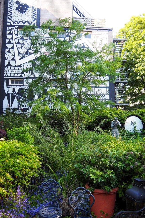 Lush garden oasis at Andaz Amsterdam with artistic mural backdrop