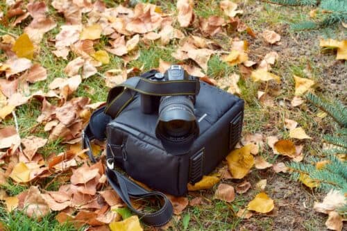Camera on a bag among yellow leaves