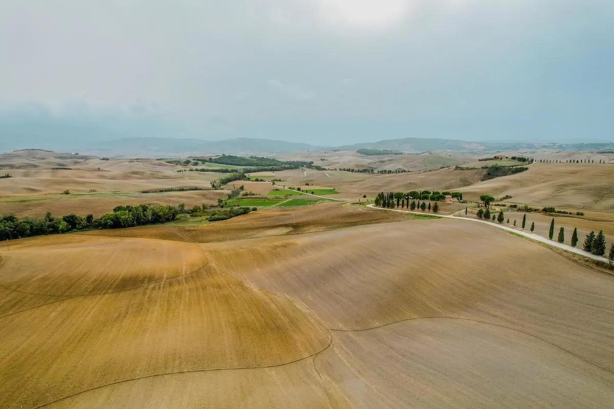 Aerial view of golden Tuscan countryside with rolling hills and cypress trees