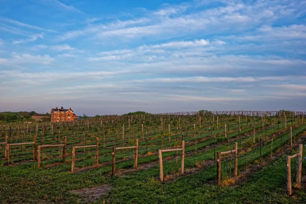 10 Best Wineries In Iowa For Tastings and Tours