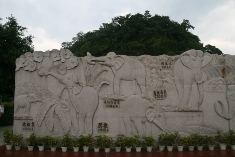 Elephant Wall Art