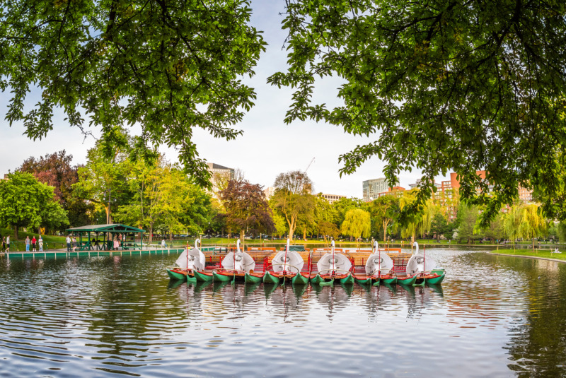 Boston Swan Boats in Massachusetts