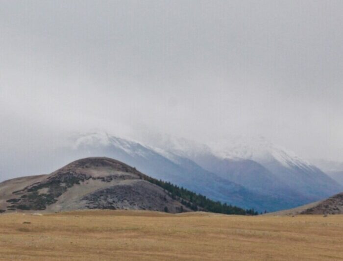 The vast Mongolian landscape showcasing rolling hills and expansive grasslands.