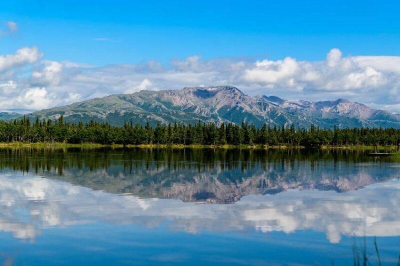 13 Best Hotels in Denali National Park & Places to Stay