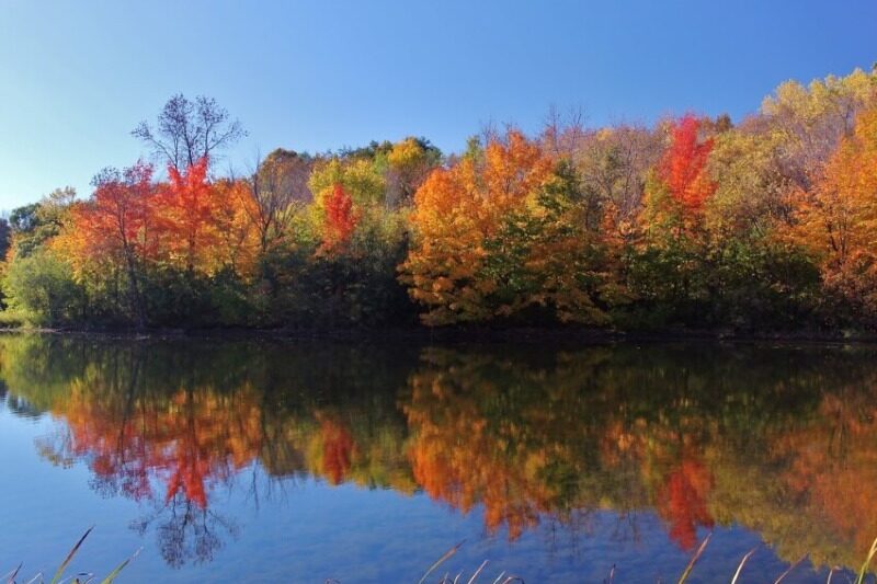 15 Best Things to Do in Prior Lake, Minnesota