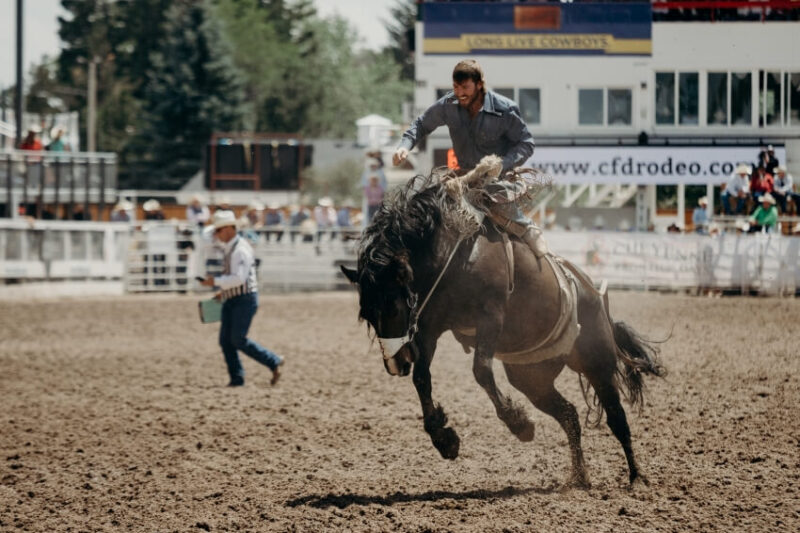 Cheyenne Rodeo