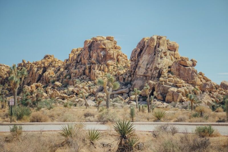 Where to Stay in Joshua Tree National Park: Best Accommodation Options