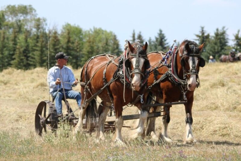 9 Best Things to Do in Grand Forks, North Dakota
