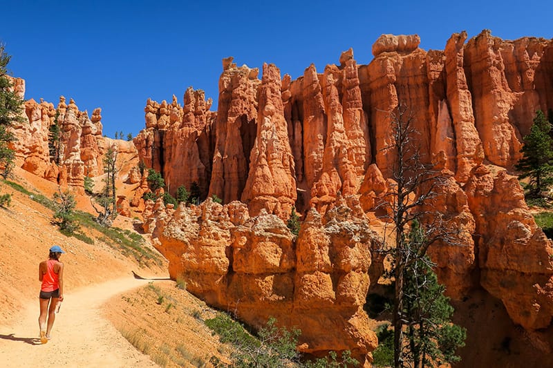 Bryce Canyon National Park rock formations at sunrise.