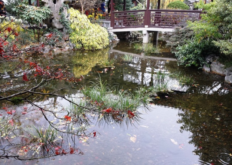 Seattle Chinese Garden