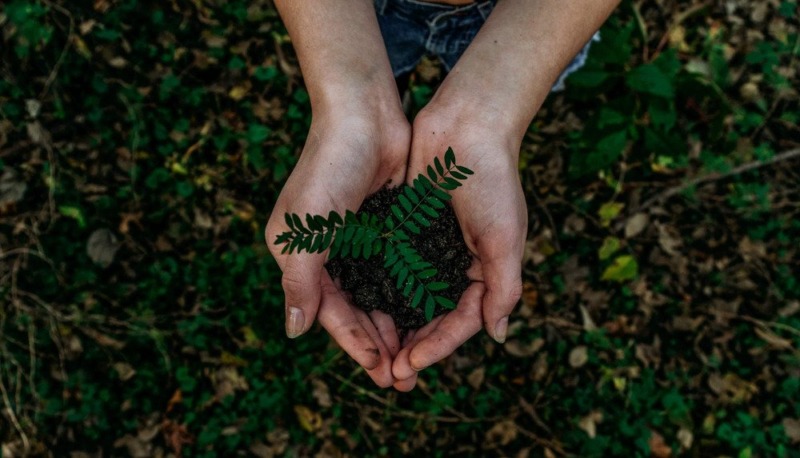 Sustainability Advocates