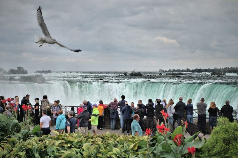 36 Best Things to Do in Niagara Falls