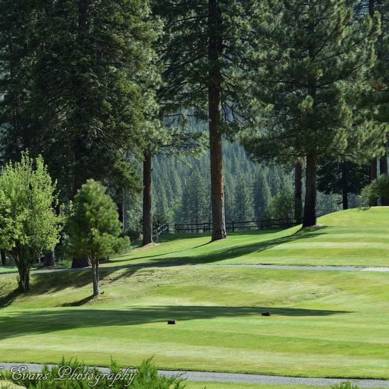Plumas Pines Golf Course nestled in lush green landscape with mature trees and vibrant fairways, creating a serene and picturesque setting for golfers.