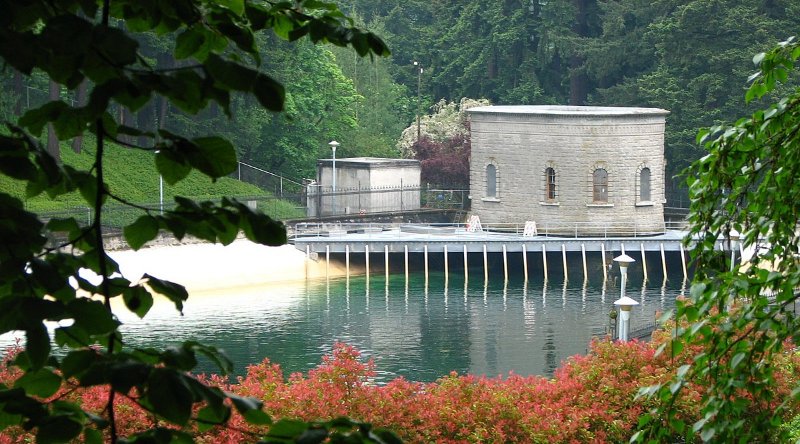 Portland Washington Park Scenery