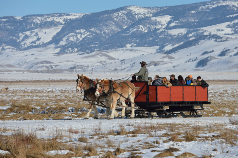 Jackson Hole Sleigh Ride experience