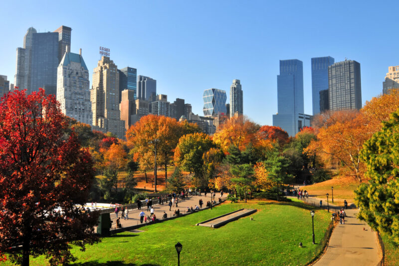 Autumn in the Central Park, New York