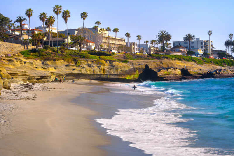 Palm trees and a coastal scene in La Jolla Shores near San Diego, California