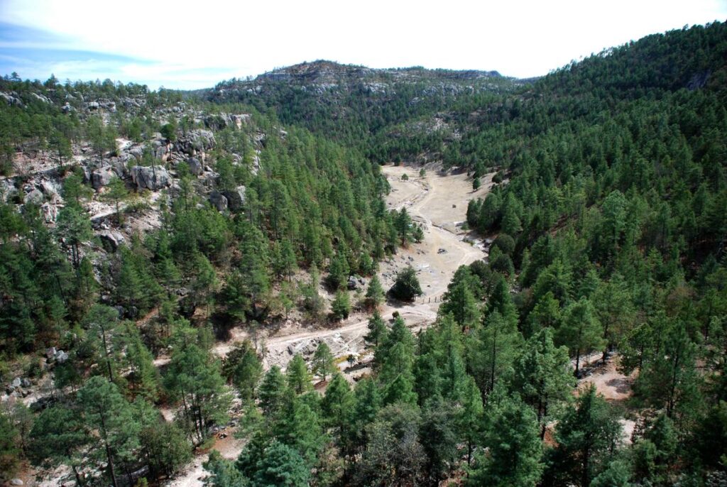 Aerial View of Barranca del Cobre Lush Forests