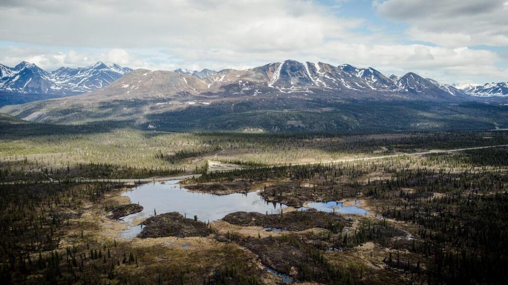 Expansive Alaskan tundra along Denali Parks Highway with rugged landscapes and serene water bodies