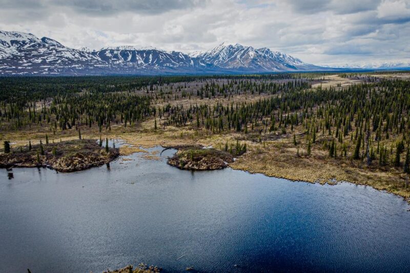 Expansive Alaska tundra near Denali National Park with distant mountains and serene waters