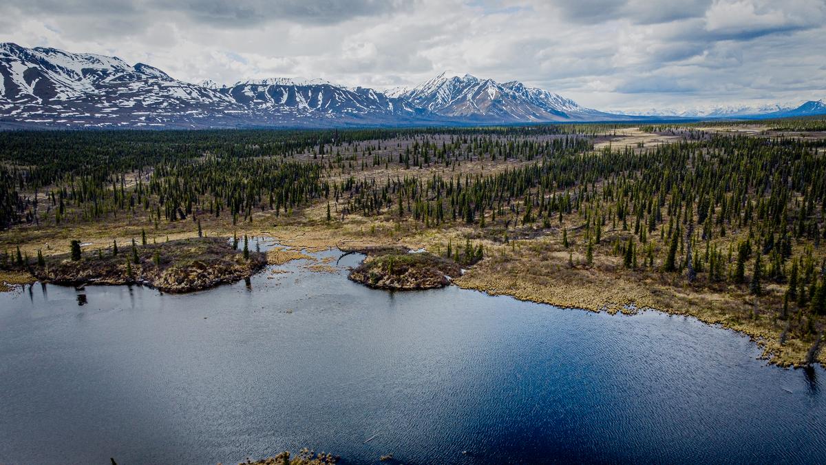 Expansive Alaska tundra near Denali National Park with distant mountains and serene waters