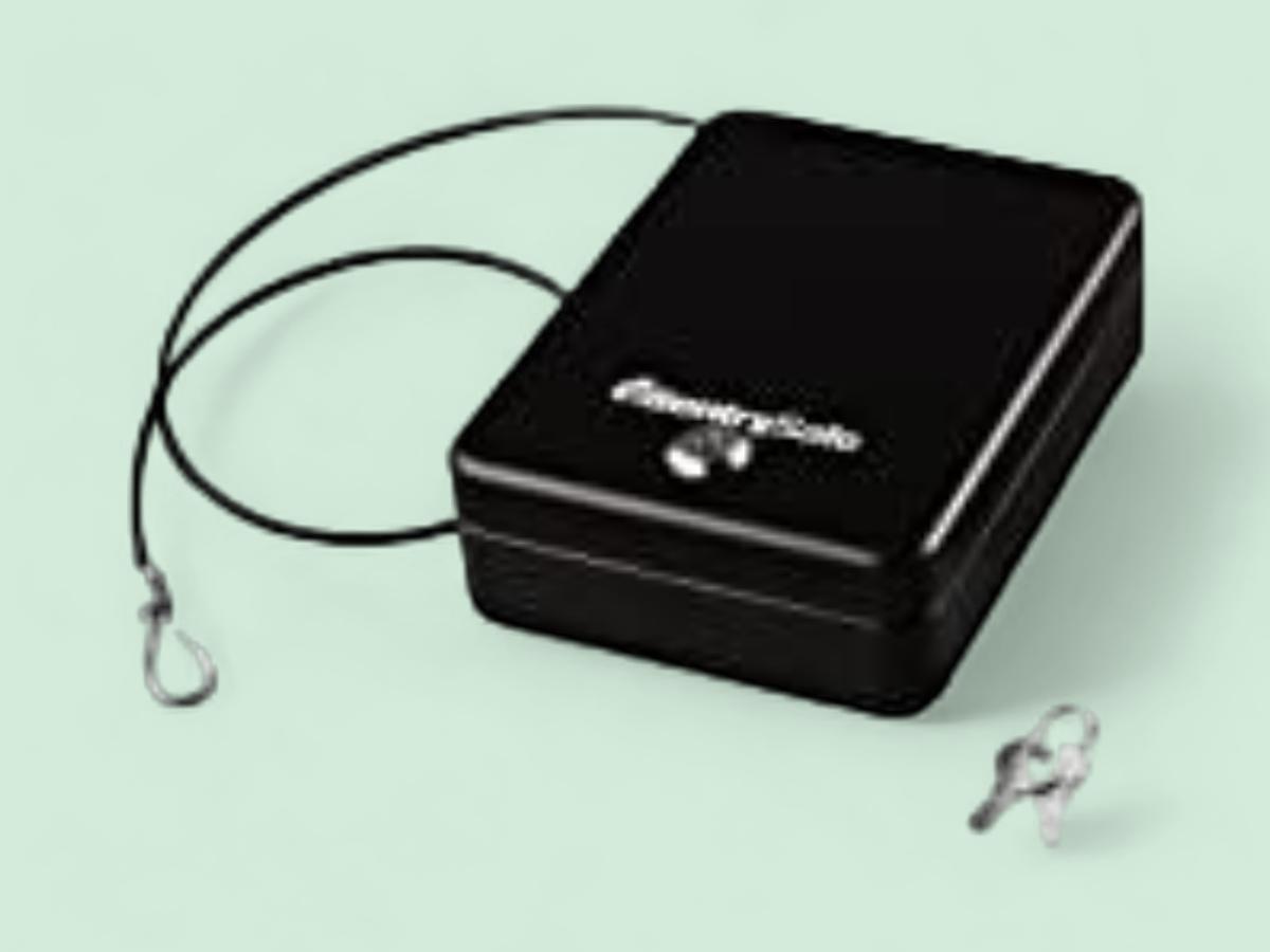 Amazon Basics Security case with cable and keys