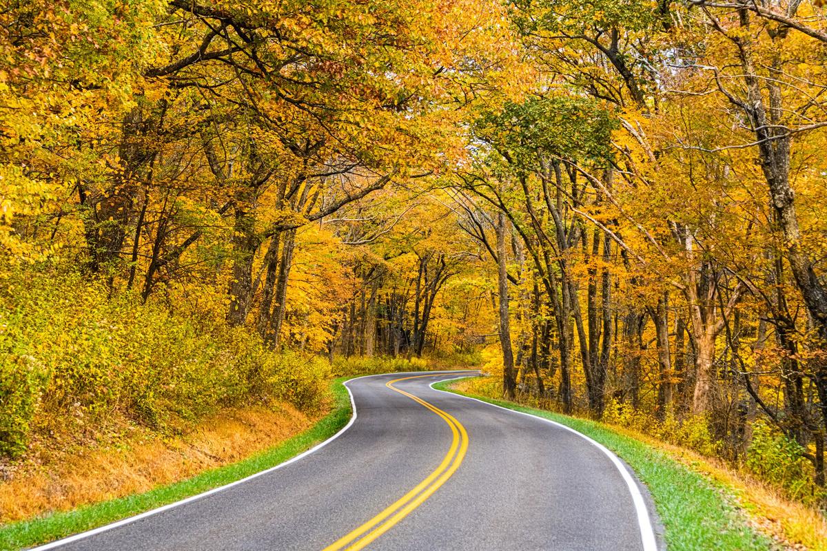 Skyline Drive winding through autumn foliage in Shenandoah National Park