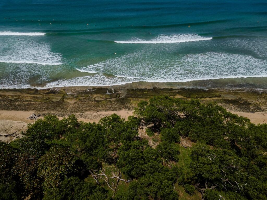 Aerial view of Avellanas Mangrove, where lush green forests meet sandy shoreline and turquoise waves of Pacific Ocean.