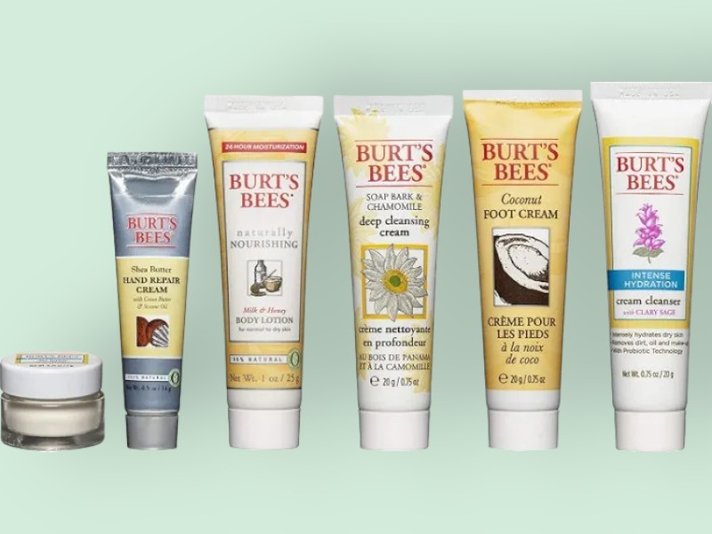 Burt's Bees Skincare Products Travel Set
