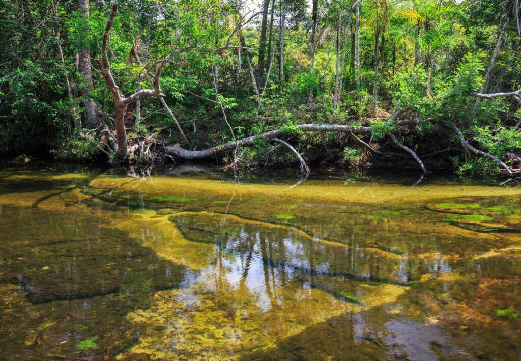 Caño Cristales Colombia Five Colors River