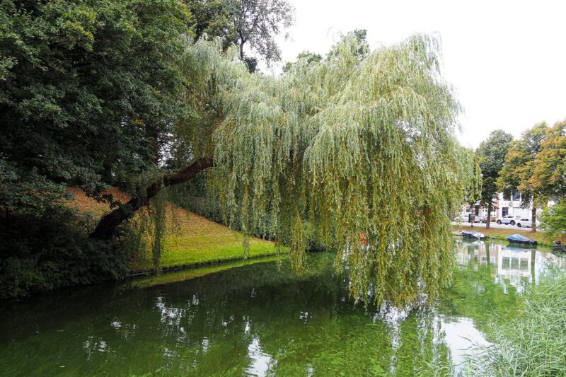 Alkmaar Trip Cost: How Much Does It Cost to Visit in 2026?