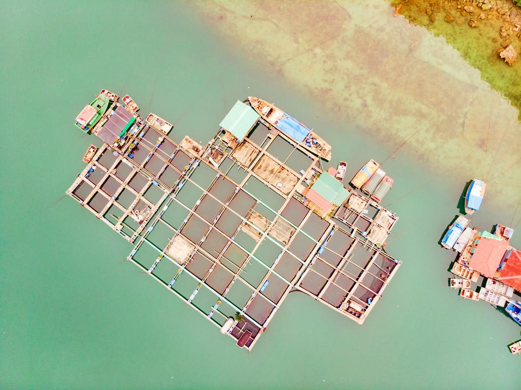 Cua Van Floating Village Halong Bay Vietnam