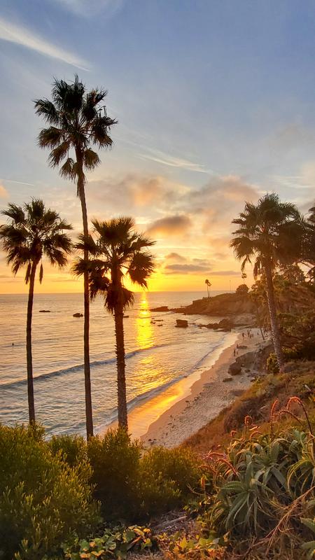 Laguna Beach sunset with palm silhouettes and golden shoreline in California