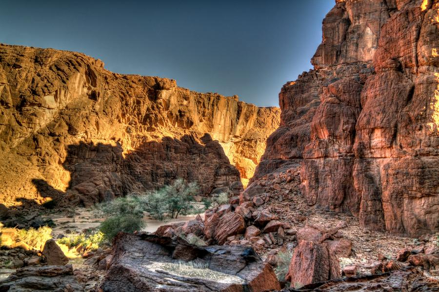 Guelta d'Archei Oasis in Sahara Desert