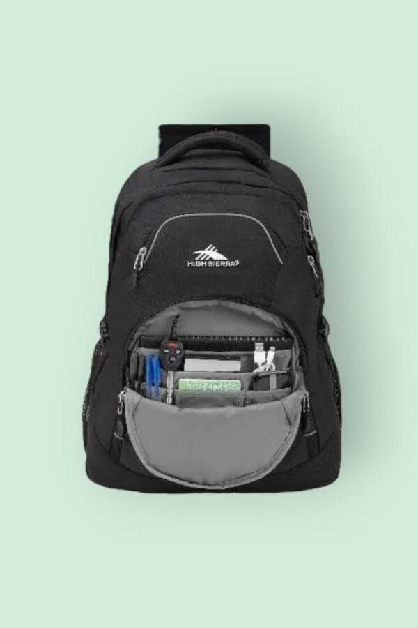 High Sierra Access Laptop Backpack