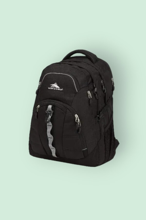 High Sierra Access Laptop Backpack