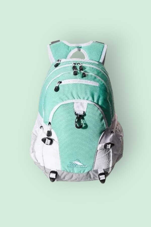 High Sierra Loop Backpack