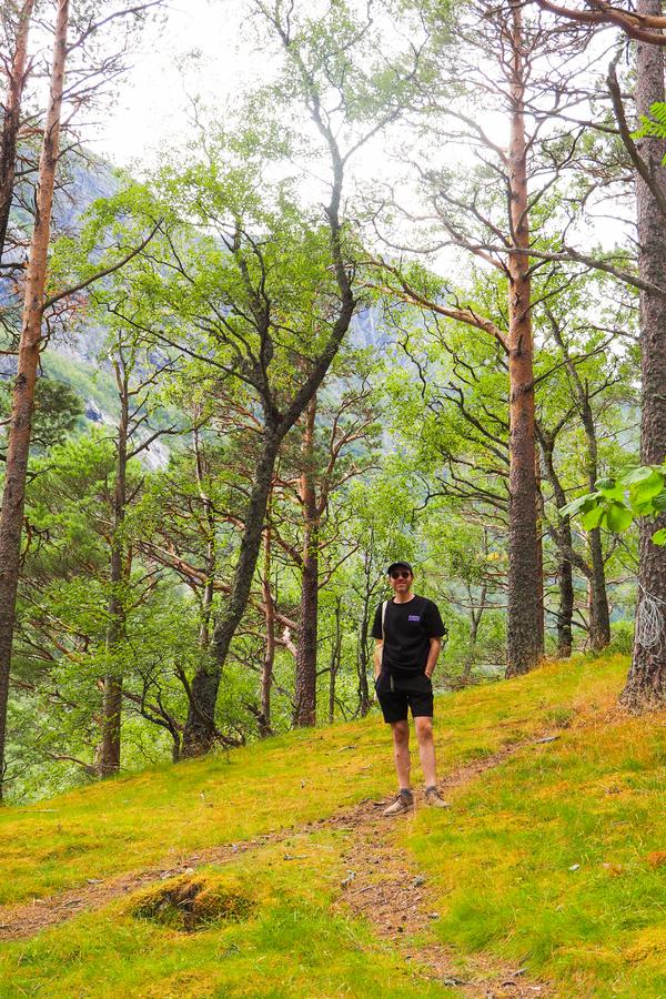Kyle Kroeger hiking in lush forests of Eidfjord, Norway - stunning Scandinavian outdoor adventure