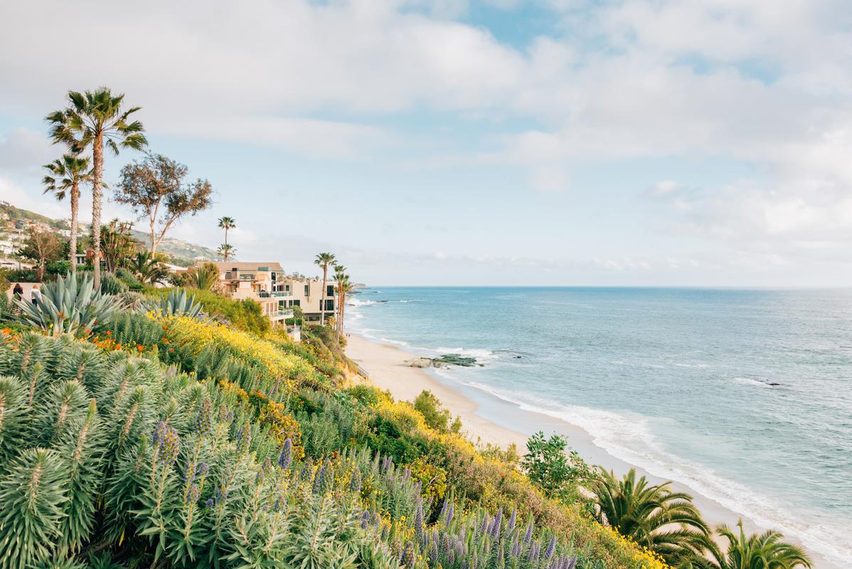 Scenic view of Treasure Island Park, Laguna Beach with lush flora and ocean vista