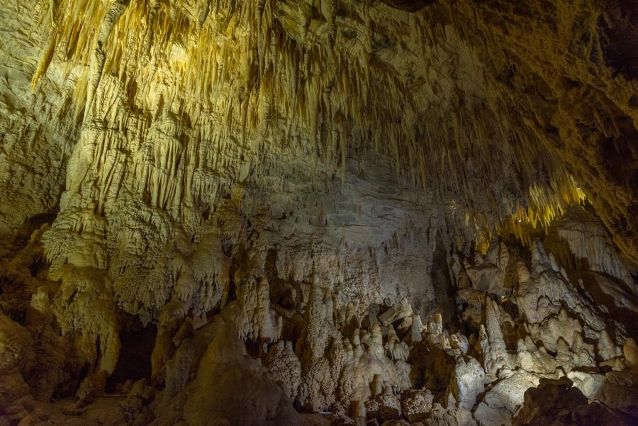 Majestic Limestone Formations in Waitomo Glowworm Caves
