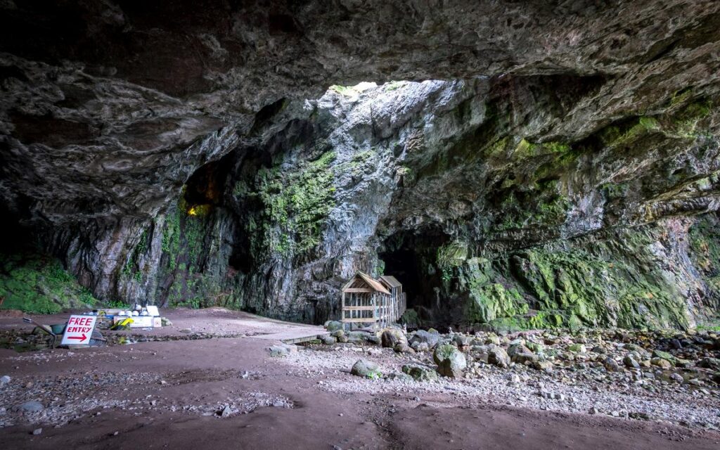 Majestic Smoo Cave outer chamber with natural light opening, green moss walls, and informative sign.