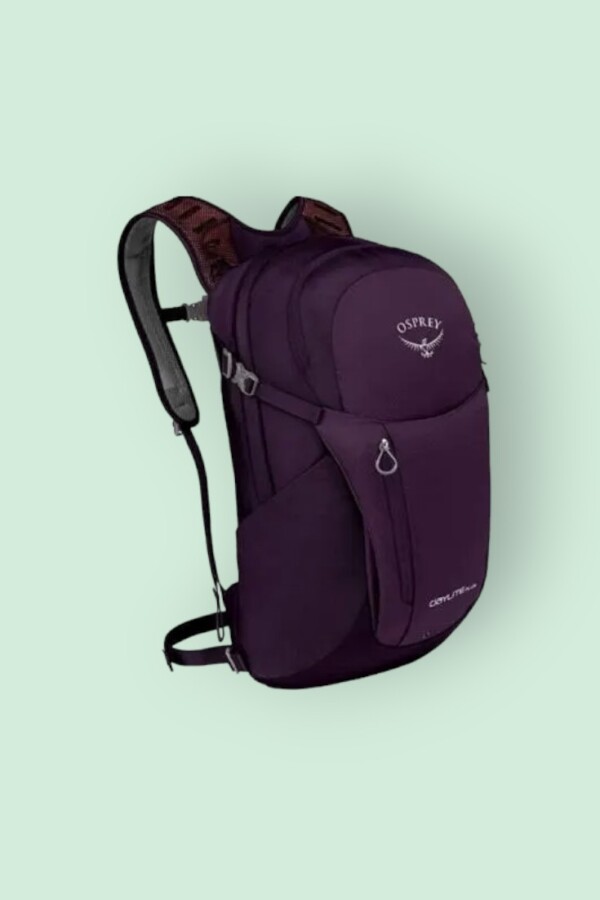 Osprey Daylite Plus