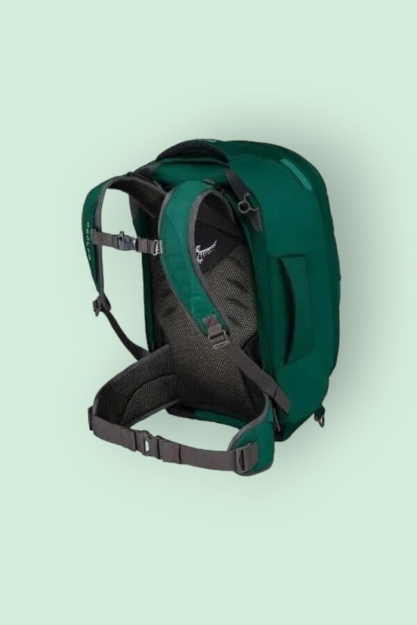 Osprey Farpoint 40 Travel Backpack