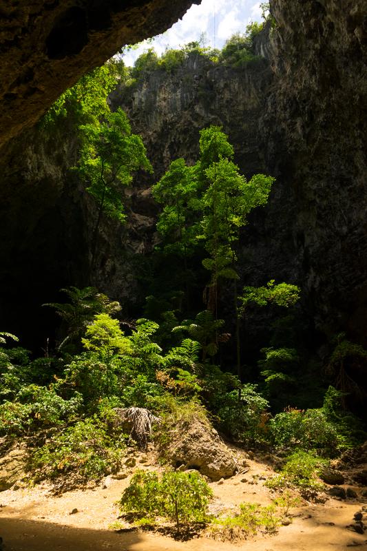 Phraya Nakhon Cave Sunlit Greenery Thailand