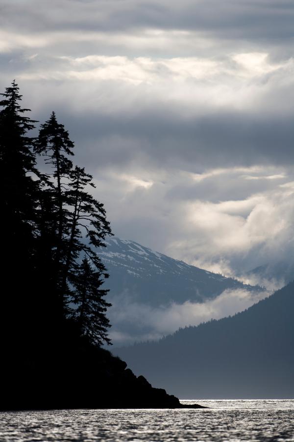 Rainforest along, Frederick Sound, Alaska
