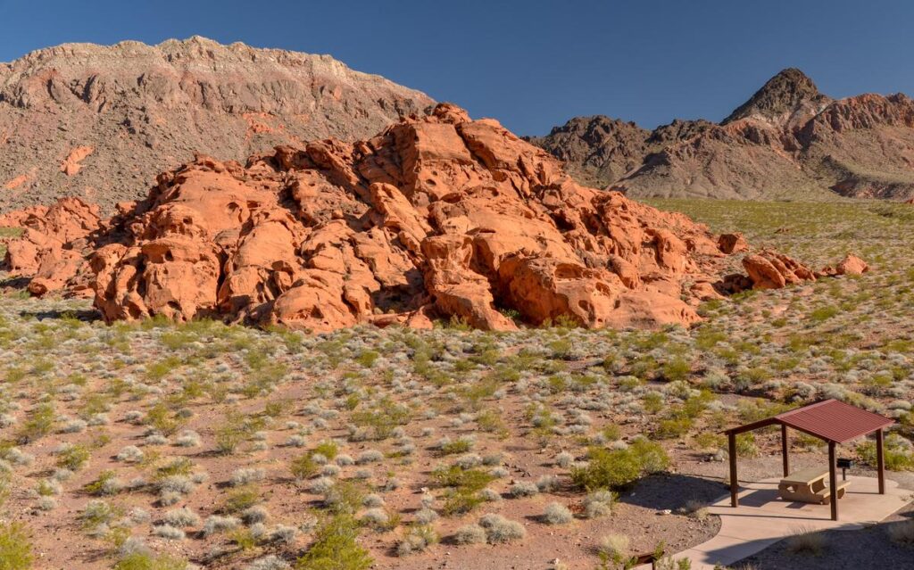 Scenic Redstone Trail at Lake Mead with red rocks and desert flora under clear blue sky