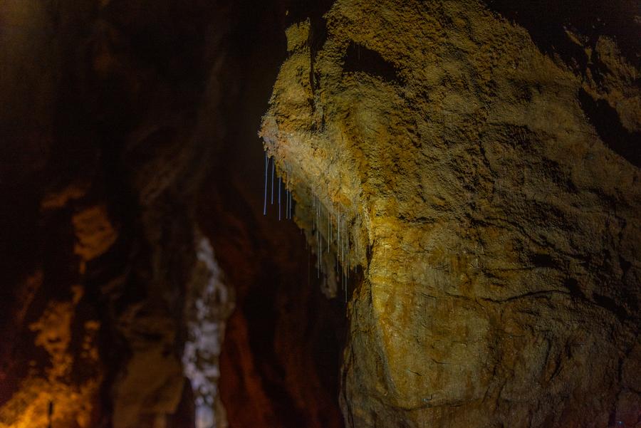 Ruakuri Cave Glowworms Waitomo New Zealand